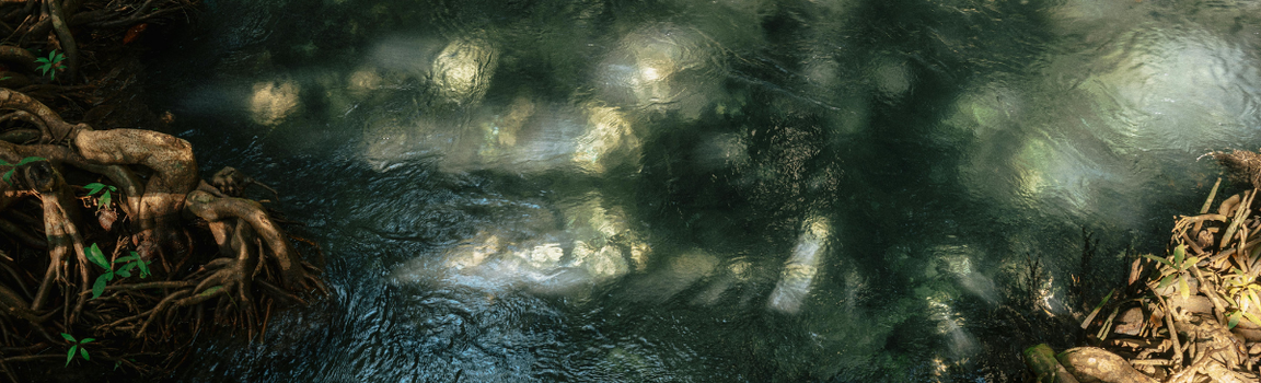 Équinoxe de printemps 2026 : pourquoi cette semaine peut tout changer pour toi  ⚘