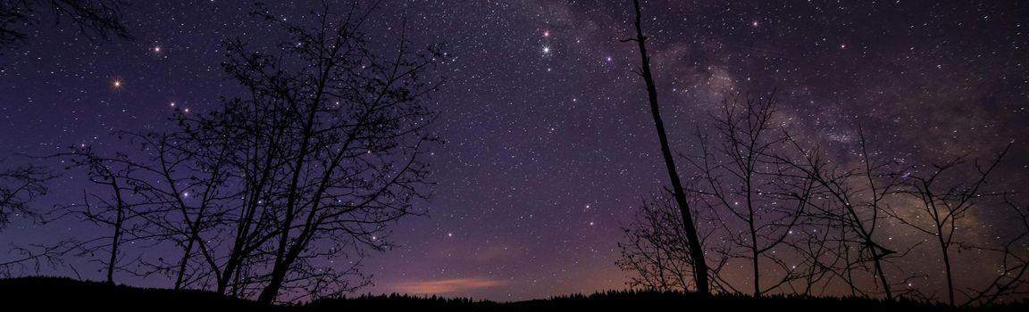 Soleil en Sagittaire ♐️ 